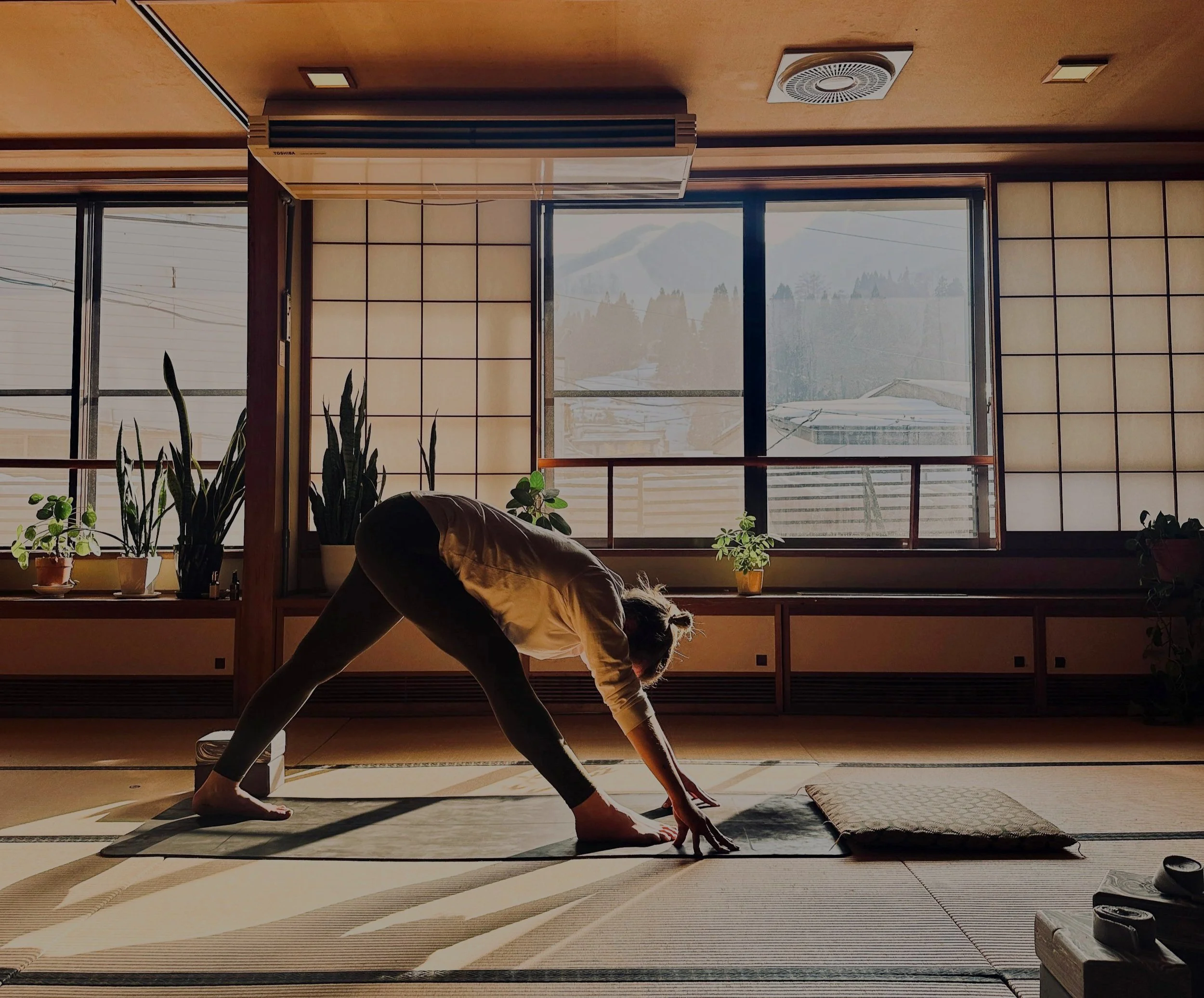 Yoga Classes | Nozawa Onsen — Shizen Collective